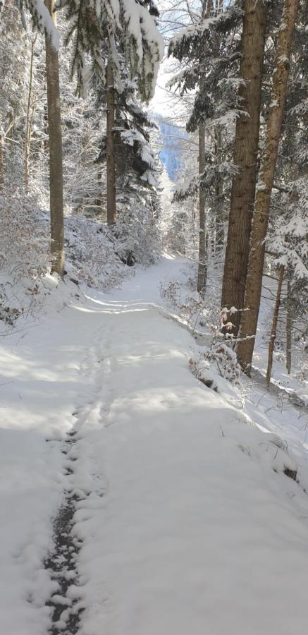 Apartment Sonnenbuechel Wald am Arlberg Εξωτερικό φωτογραφία
